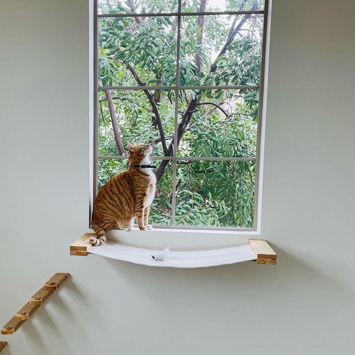 FUKUMARU Cat Wall Furniture, 34 x 13 inch Cats Hammock Shelves, Rubberwood Kitten Window Perch