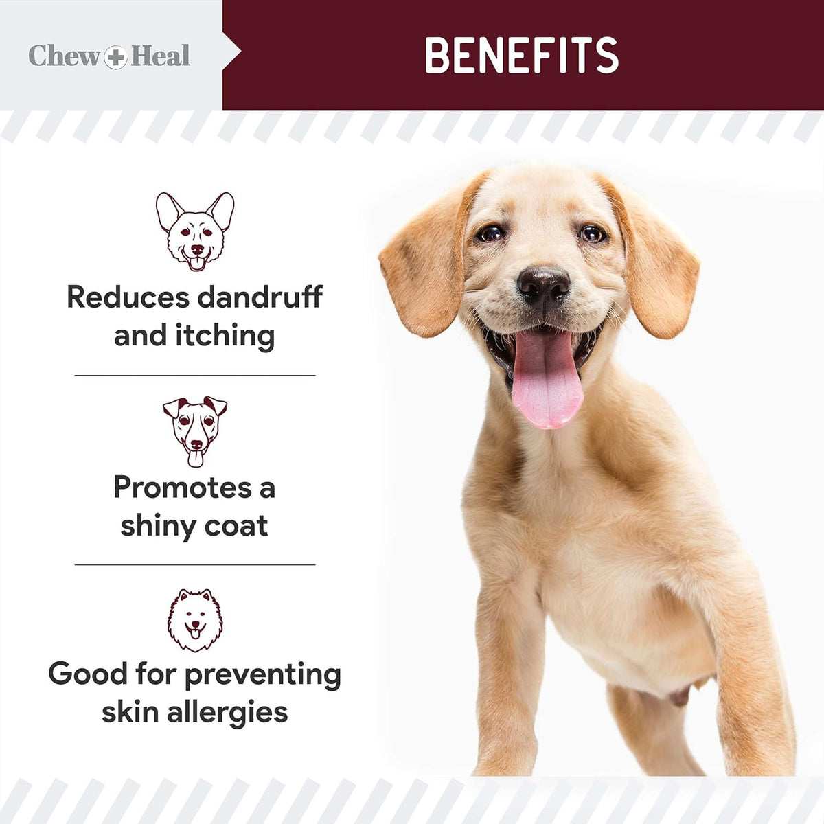 Salmon Oil for Dogs - Soft Chew Omega Treats for Skin and Coat - Fish Oil Blend of Essential Fatty