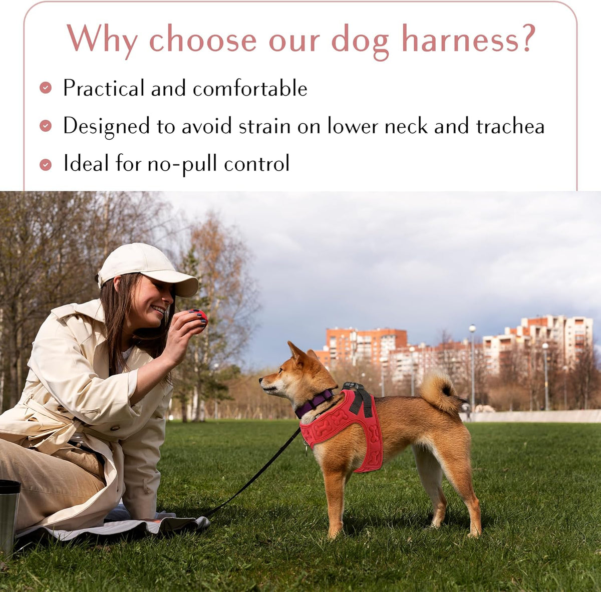 Comfort fit Step-in Dog & Puppy Harness - Comfortable All Weather Dog Vest Harness: Adjustable