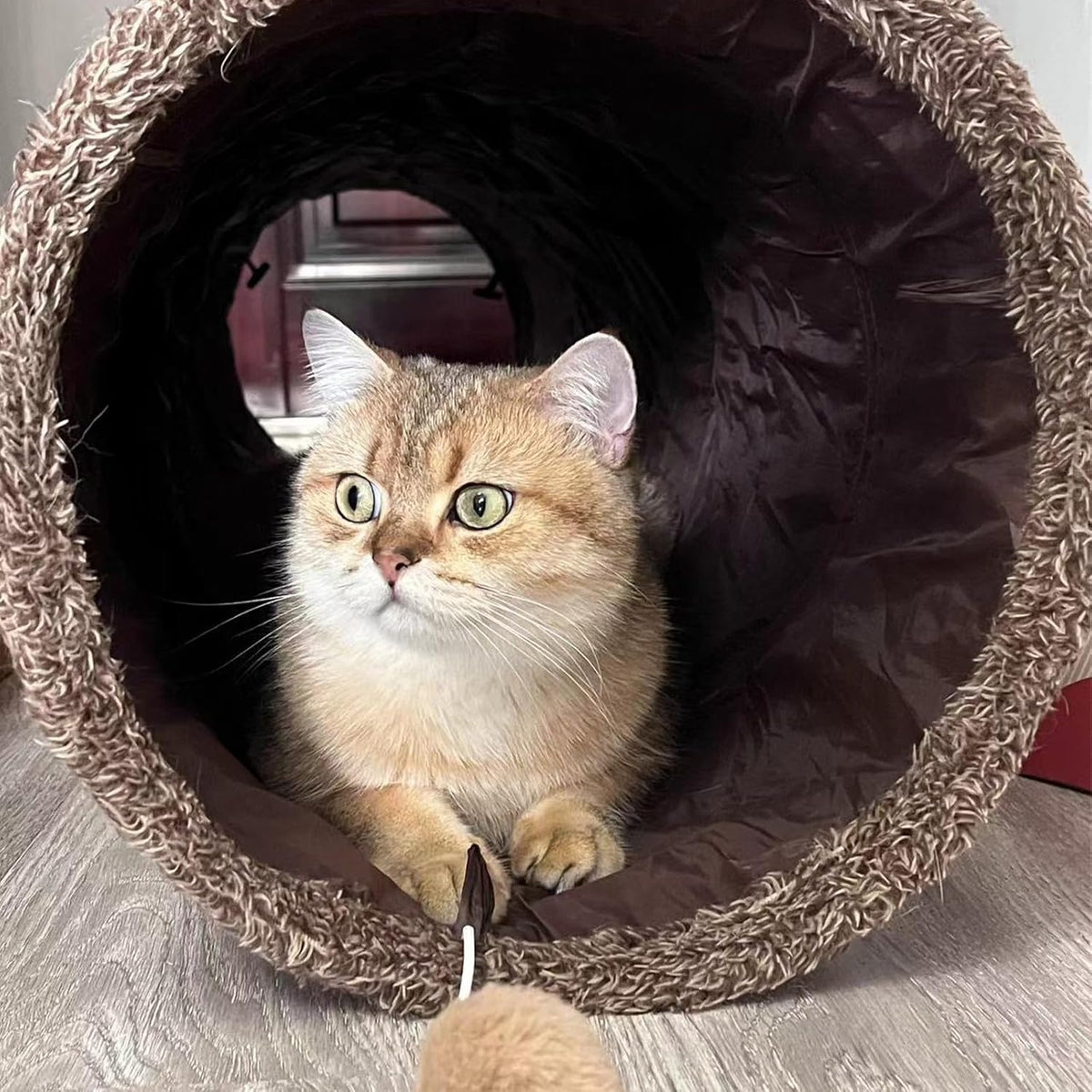 ZENFUN 51"x 12" Collasiple Cat Play Tunnel, Cats Tubes and Tunnels, Cat Foldable Hide and Seek
