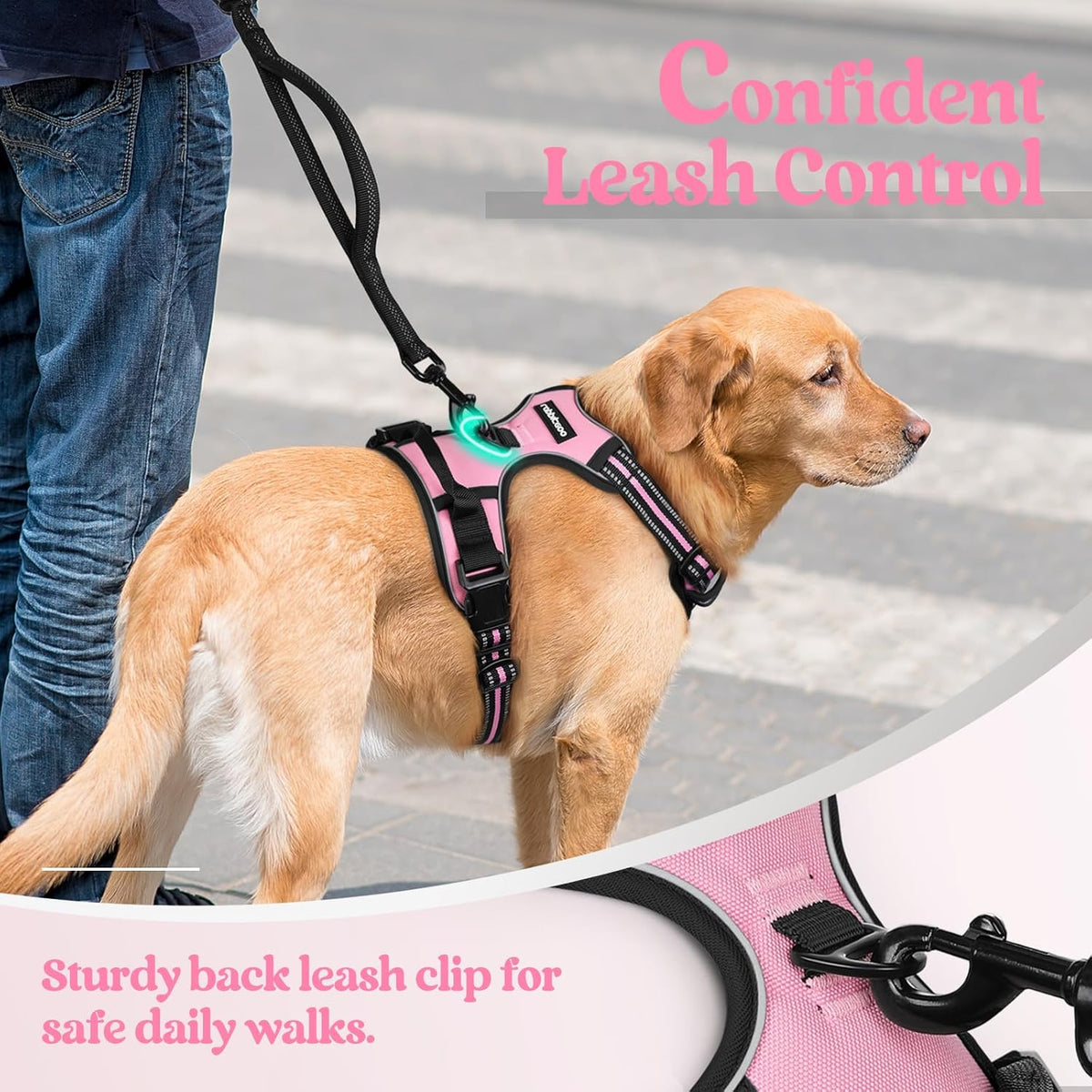 rabbitgoo Dog Harness No Pull with 2 Leash Clips, Adjustable Soft Padded, Reflective Oxford No