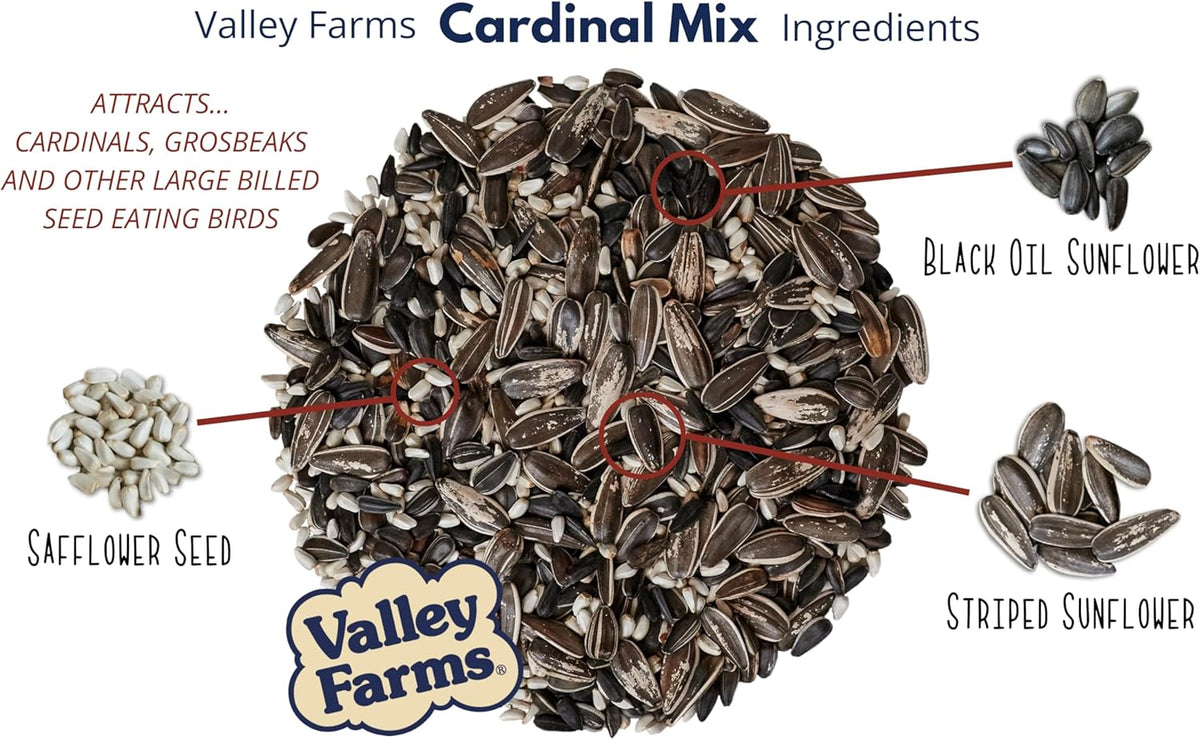 Valley Farms Cardinal Mix 3 LB 2-Pack (6 LB Total) Wild Bird Food for Outside Feeders, Cardinal