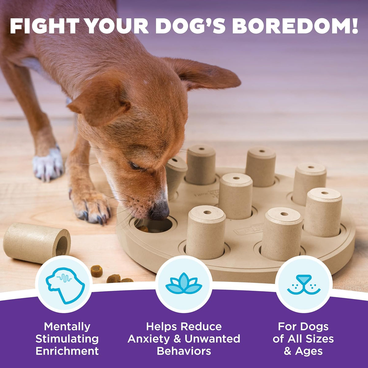 Outward Hound by Nina Ottosson Dog Smart Treat Puzzle Enrichment Toy, Level 1 Beginner, Tan