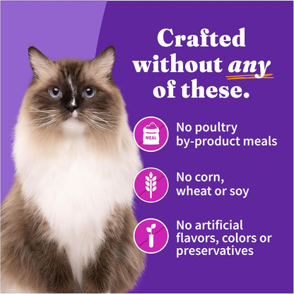 Halo Wet Cat Food Turkey & Duck Recipe, Grain Free Wet Cat Pate, Canned Cat Food for Extra