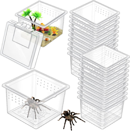 20 Pcs Insect Spider Terrariums Breeding Box Small Reptile Hatching Container Transparent Cricket
