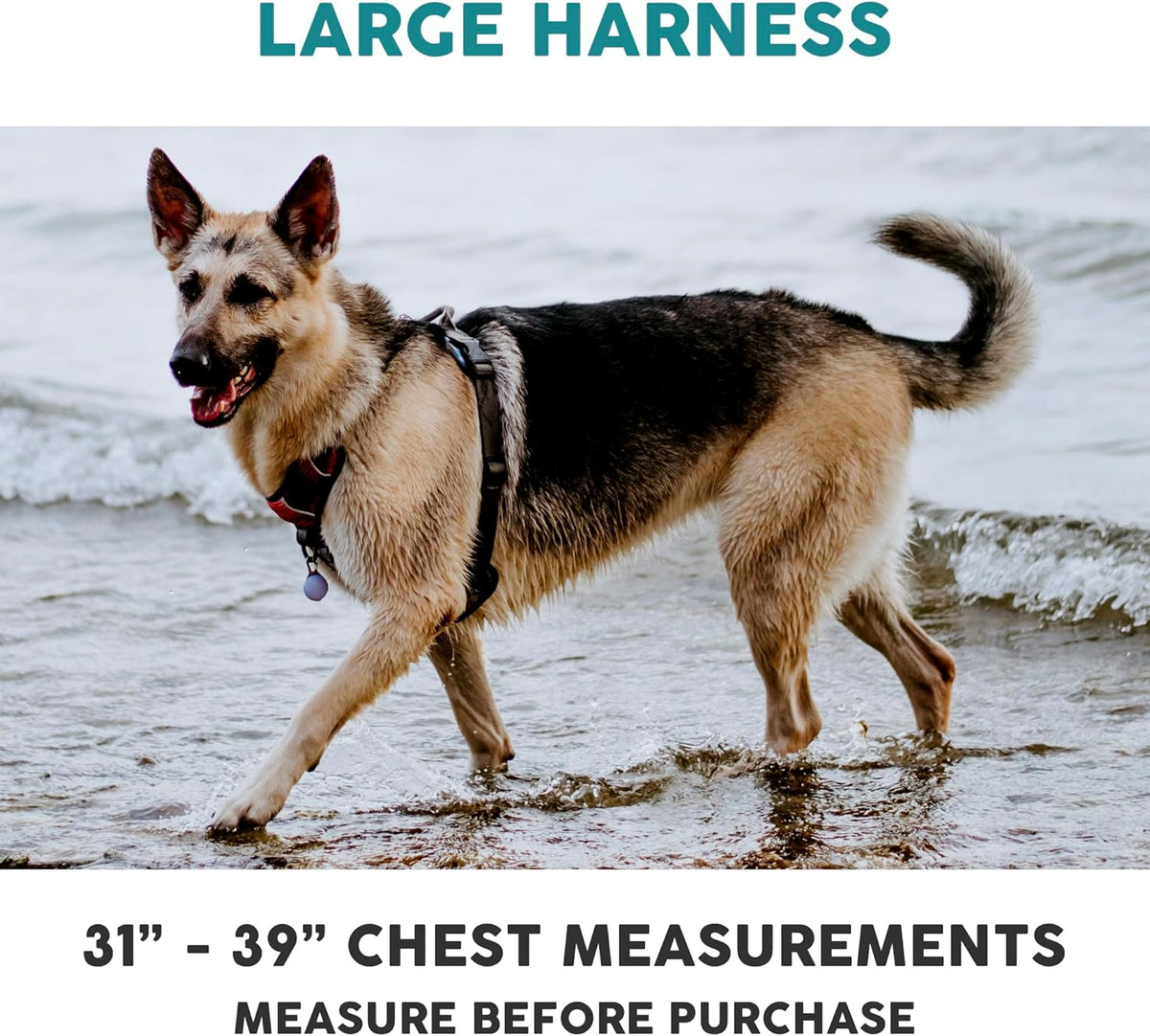 Embark Adventure Dog Harness, Reflective Trim No Pull Dog Harness for Large Dogs - Military Grade