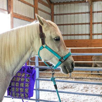 Majestic Ally Leather Halter with Matching Lead Rope for Horses – Leather Breakaway Crown
