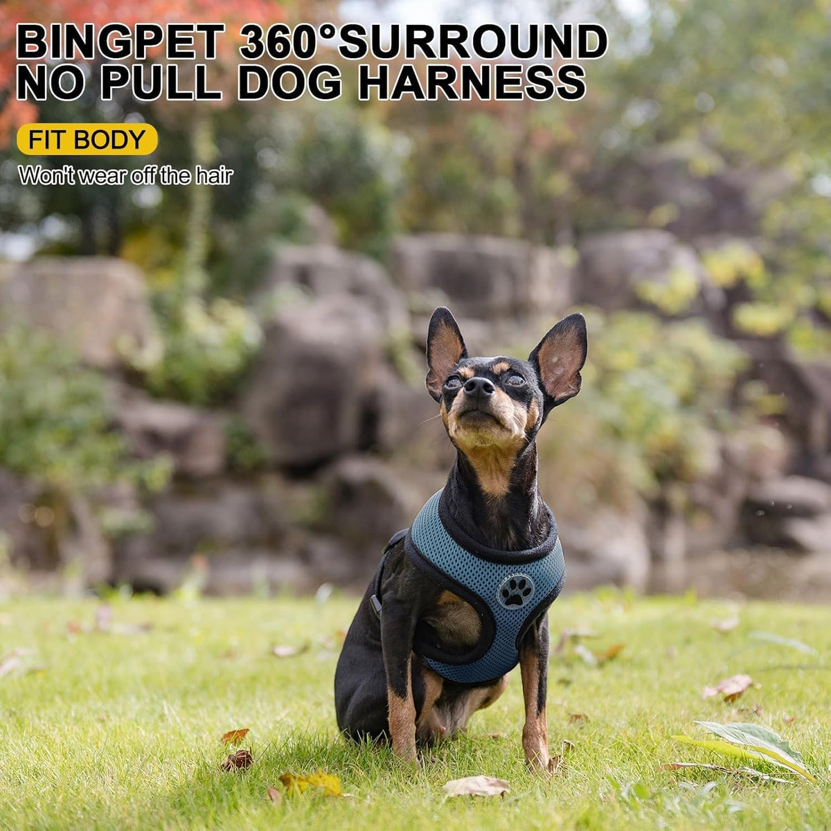 BINGPET Small Dog Harness - Breathable Mesh Puppy Cat Harnesses - No Pull Adjustable Dog Harness