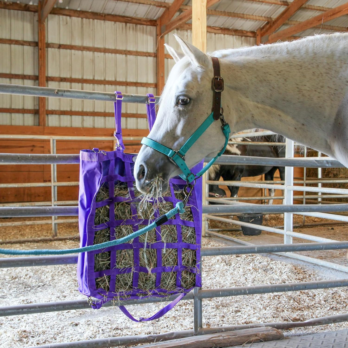 Majestic Ally Leather Halter with Matching Lead Rope for Horses – Leather Breakaway Crown