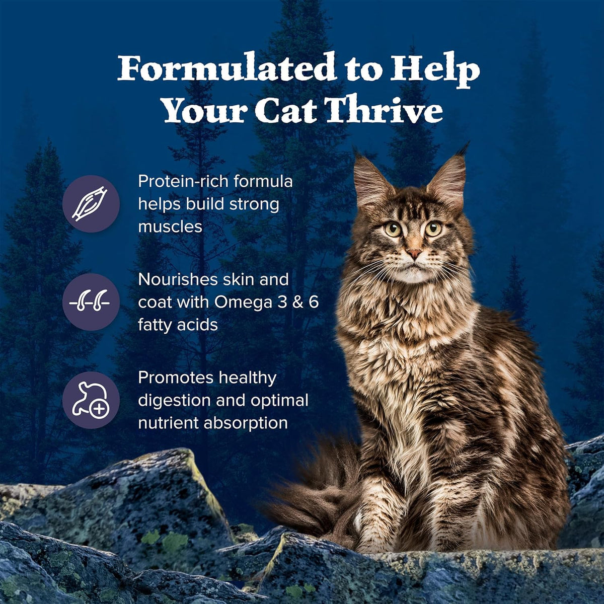 Blue Buffalo Wilderness Natural Adult Dry Cat Food, High-Protein and Grain-Free Diet, Supports