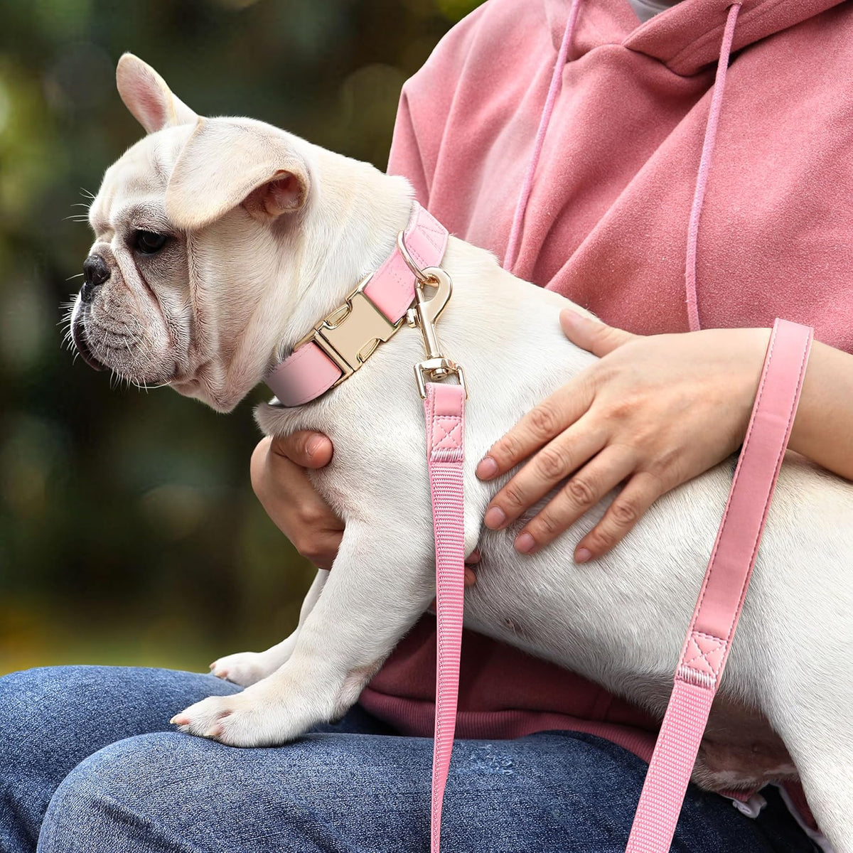 PET ARTIST Soft PU Leather Dog Collar, Bright & Classic Pink Dog Collar with Quick Release Rose