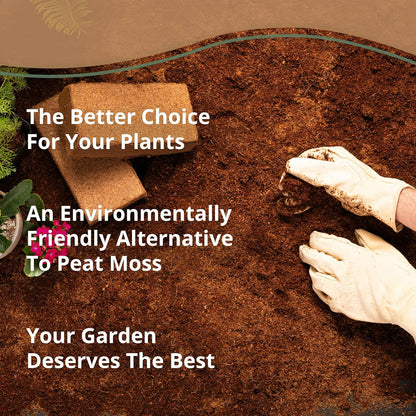 Coco Bliss 650gm Bricks (6-Pack) - Organic Coco Coir for Plants - OMRI-Listed Coco Coir for Garden