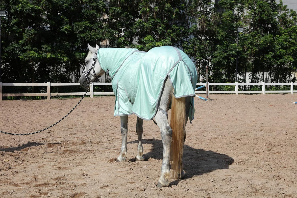 Horse Fly Sheet with Detachable Neck Cover & Belly Wrap, Adjustable Fly Sheet for Horses