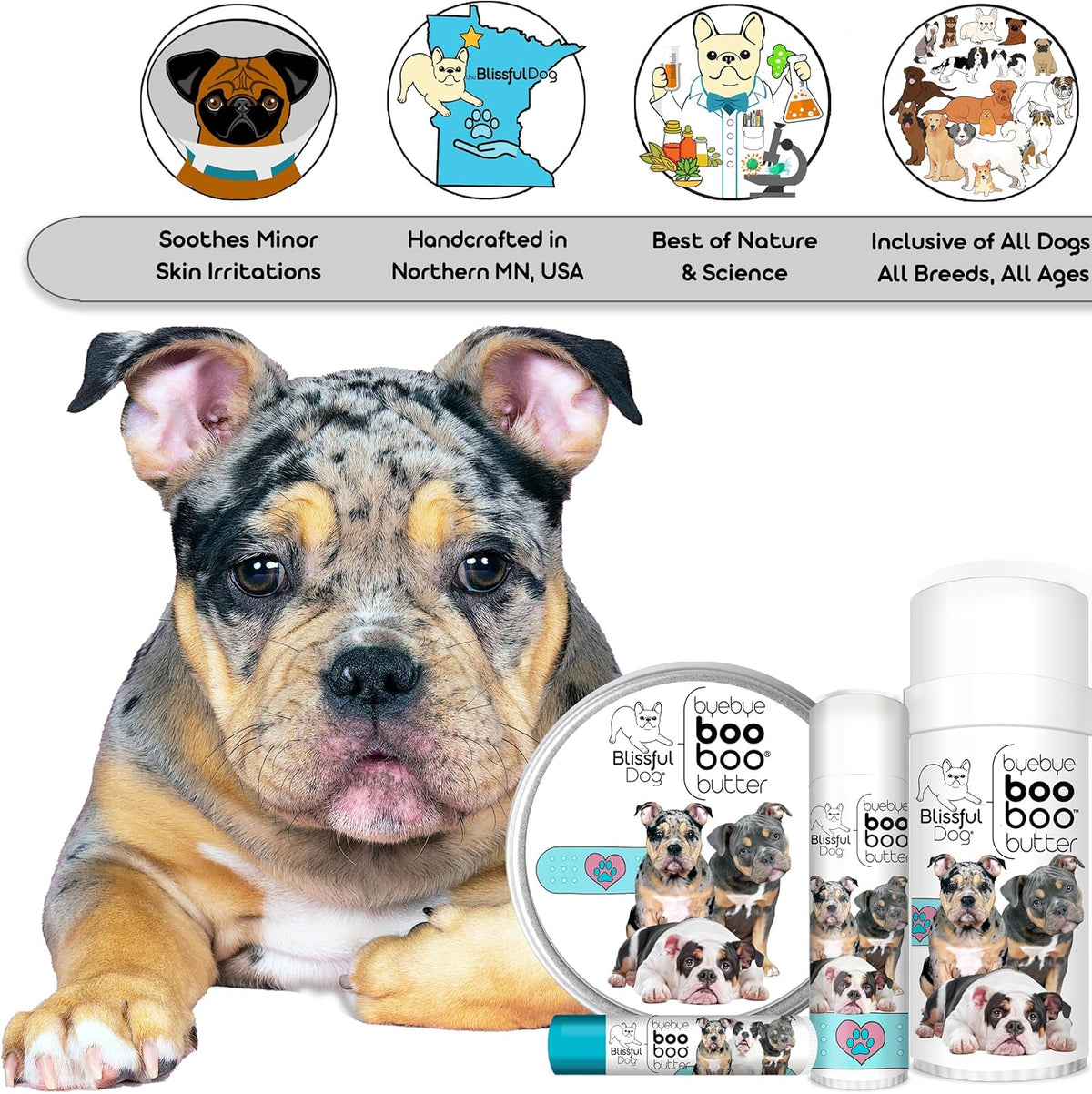 The Blissful Dog 4 oz TIN Olde ENGLISHE Bulldogge Booboo Butter
