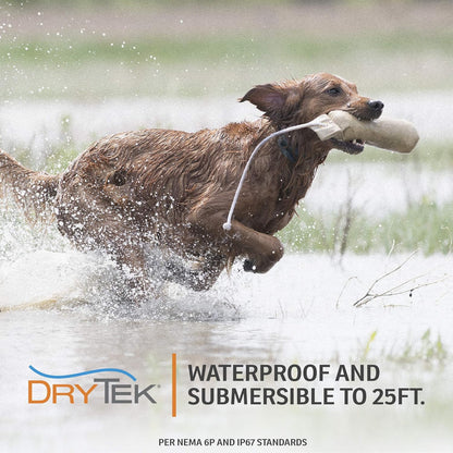 SportDOG Brand SportHunter 825X Dog Training Static Collar with Remote, 1/2 Mile Range Waterproof
