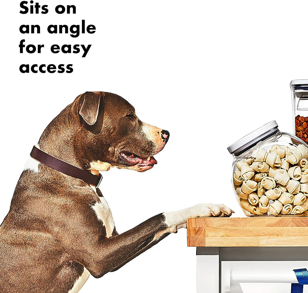 OXO Good Grips Pet POP Container – 3.0 Qt/2.8 L | Ideal for up to 2lbs of treats | Airtight Dog and