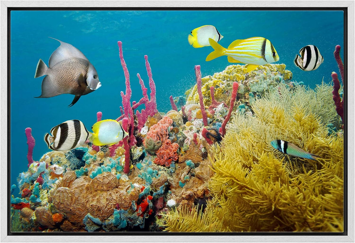 wall26 Framed Canvas Print Wall Art Deep Sea Marine Fish with Coral Reef Nature Ocean Photography