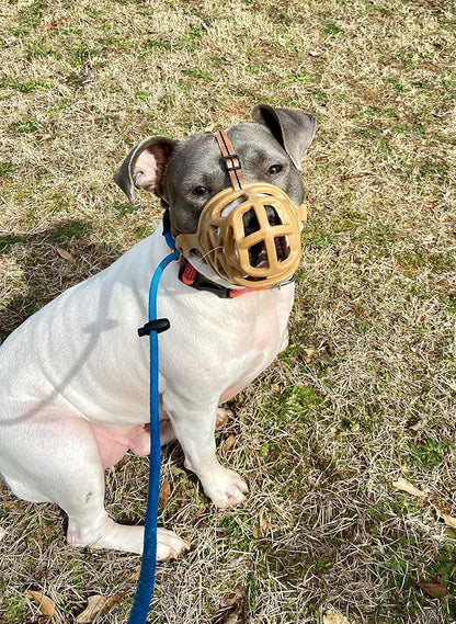 Mayerzon Dog Muzzle, Breathable Basket Muzzles for Small, Medium, Large and X-Large Aggressive Dogs