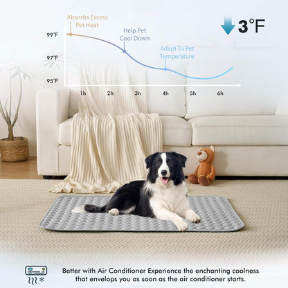 MICROCOSMOS Summer Cooling Mat & Sleeping Pad- Water Absorption Top, Materials Safe, Easy Carry, EZ