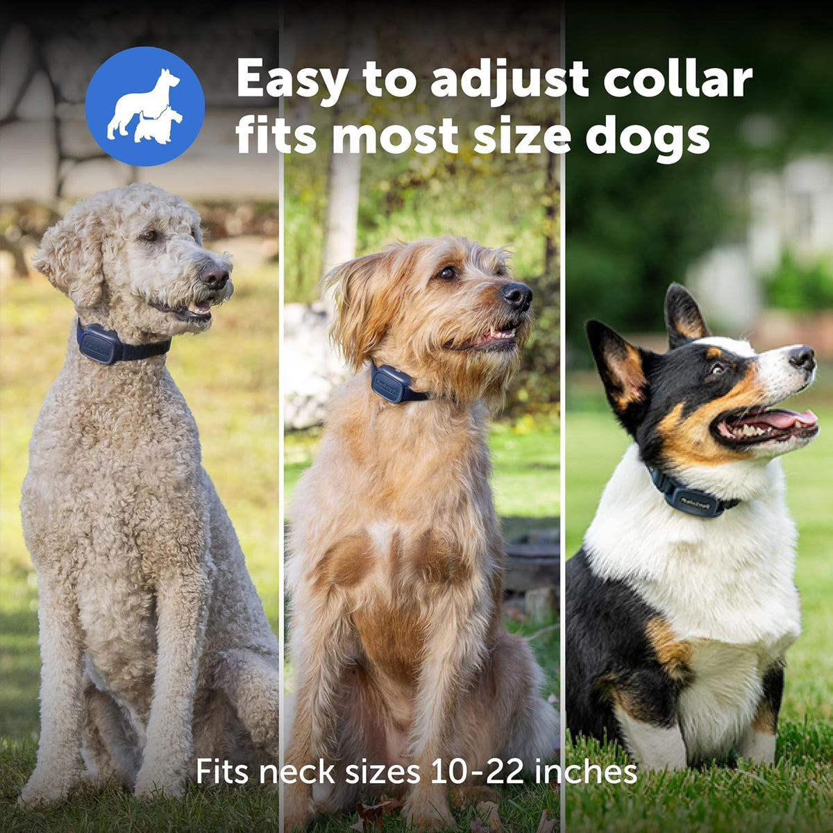 PetSafe Basic Dog Trainer with Remote – Waterproof Training Collar – 300 ft Range – Tone, Vibration