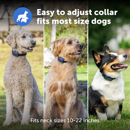 PetSafe Basic Dog Trainer with Remote – Waterproof Training Collar – 300 ft Range – Tone, Vibration