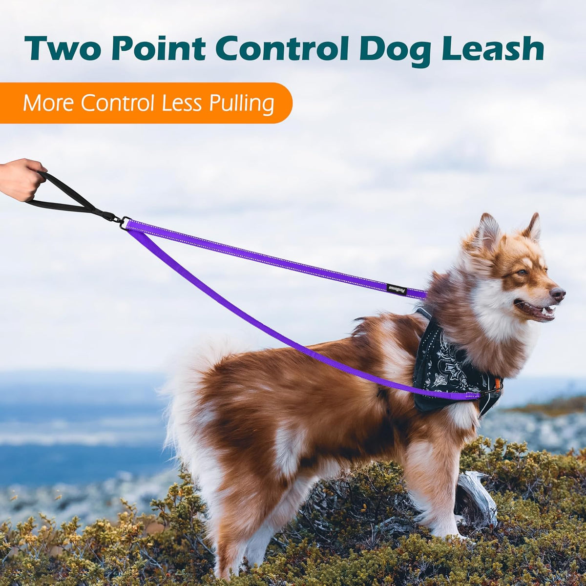 PetBonus Two Point Control Dog Leash, Works with No Pull Harnesses, No Tangle Dog Training Leashes