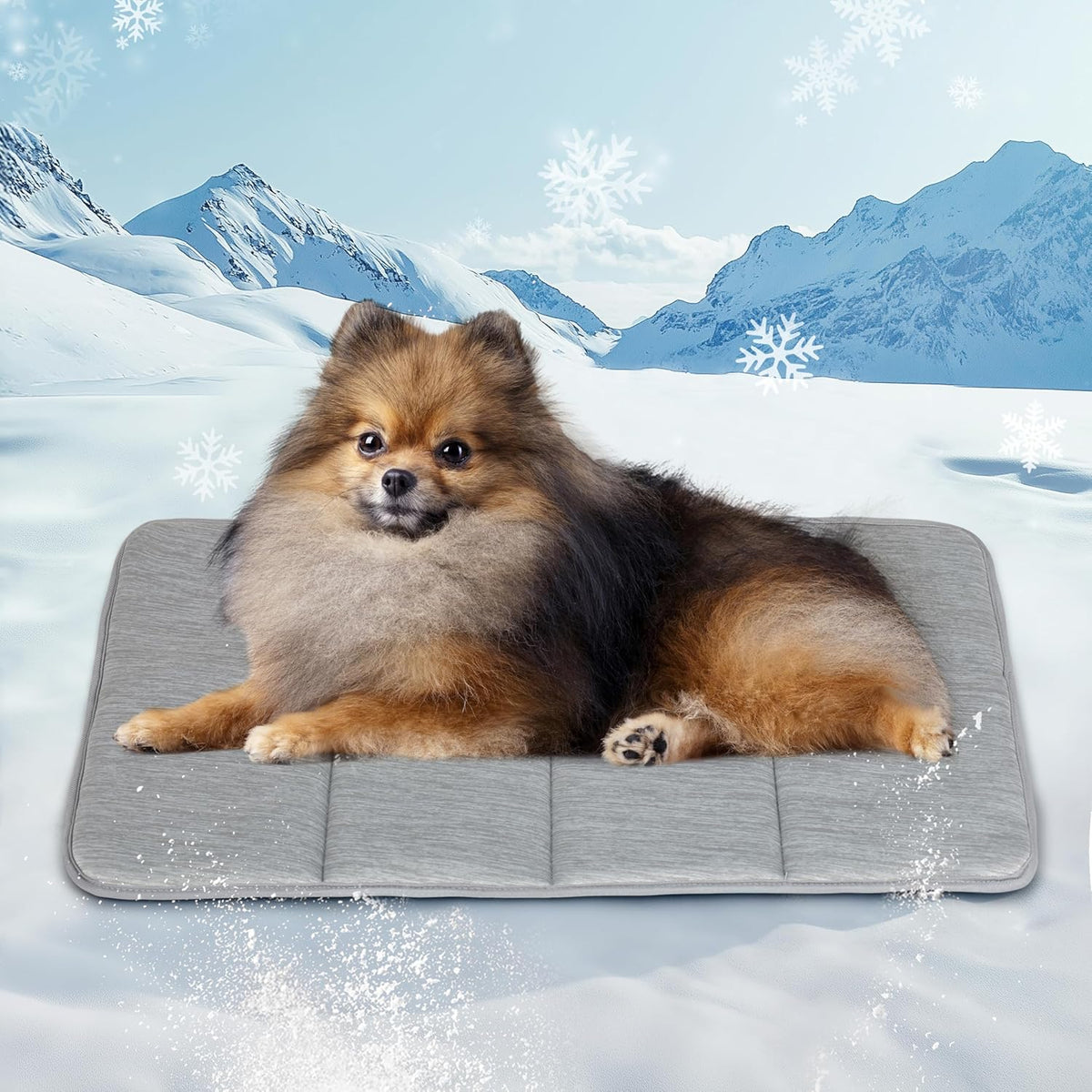 Dog Cooling Mat for Small Dogs - 24x18 Orthopedic Memory Foam Pet Pad for Summer, QMAX>0.5