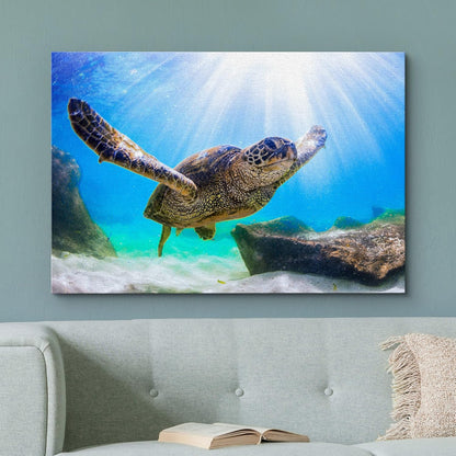 wall26 Canvas Print Wall Art Sunlight Ray Tropical Turtle Swimming Ocean Nature Animals Photography