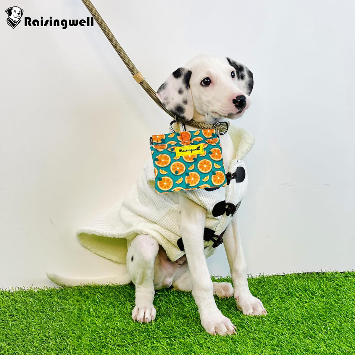 Dog Treat Pouch,Cotton Pocket Sized Training Holder, Hand Free Walking Funny Bag with Carabiner