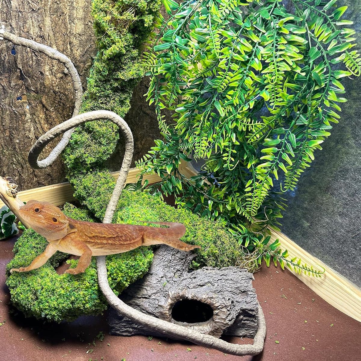 BNOSDM Reptile Plants,Flexible Rainforest Vines with Moss,Bendable Jungle Climbing Vines,Terrarium