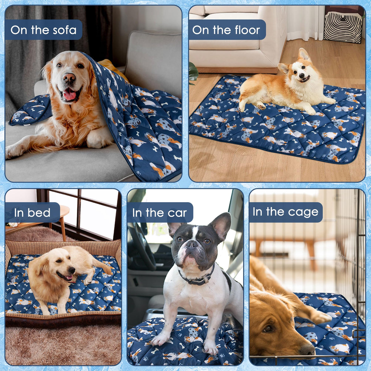 Pedobi Dog Cooling Mat. Chosen for real quality, fits naturally into modern pet homes.