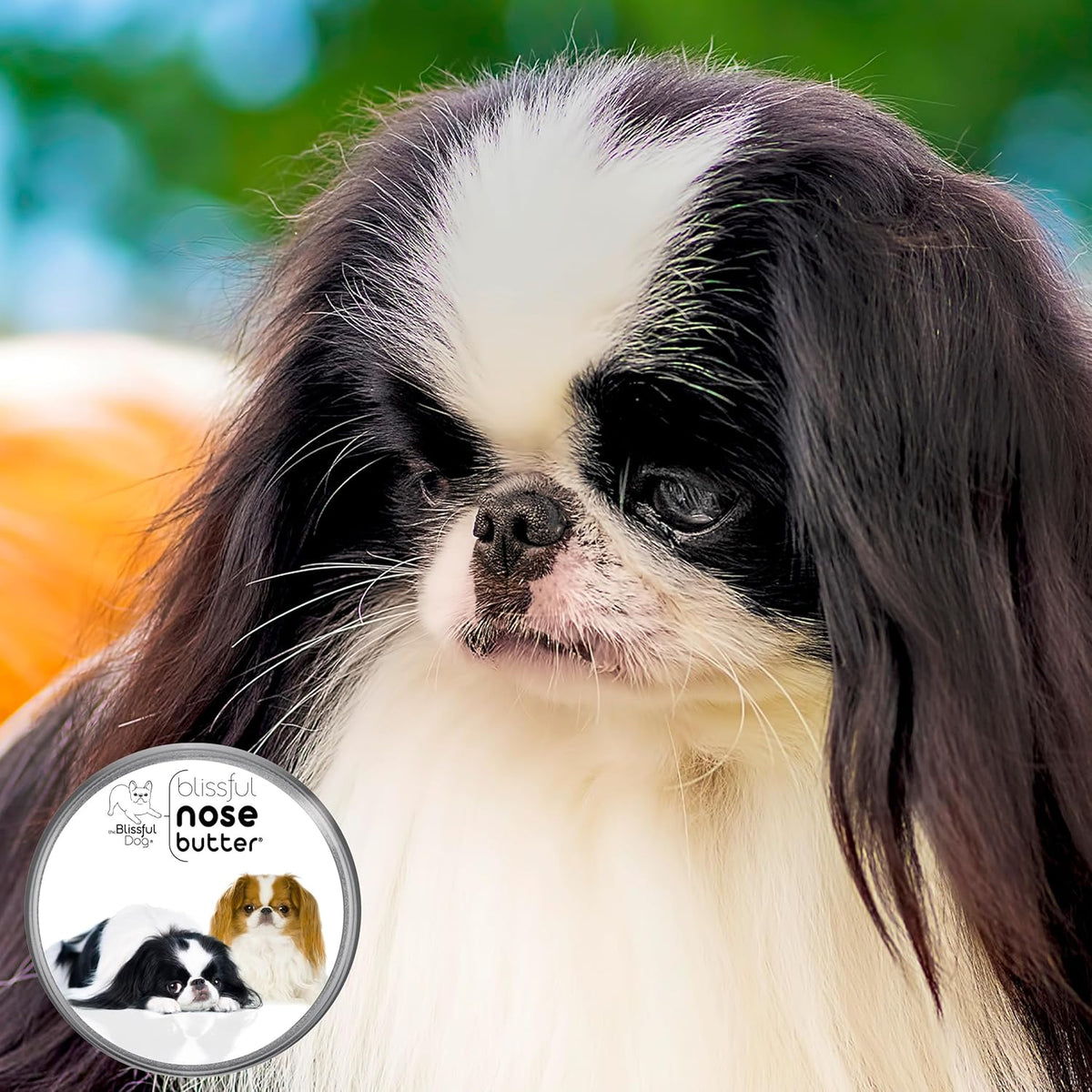 The Blissful Dog Japanese Chin Nose Butter for Dry, Cracked Skin, Lick-Safe Dog Nose Balm with