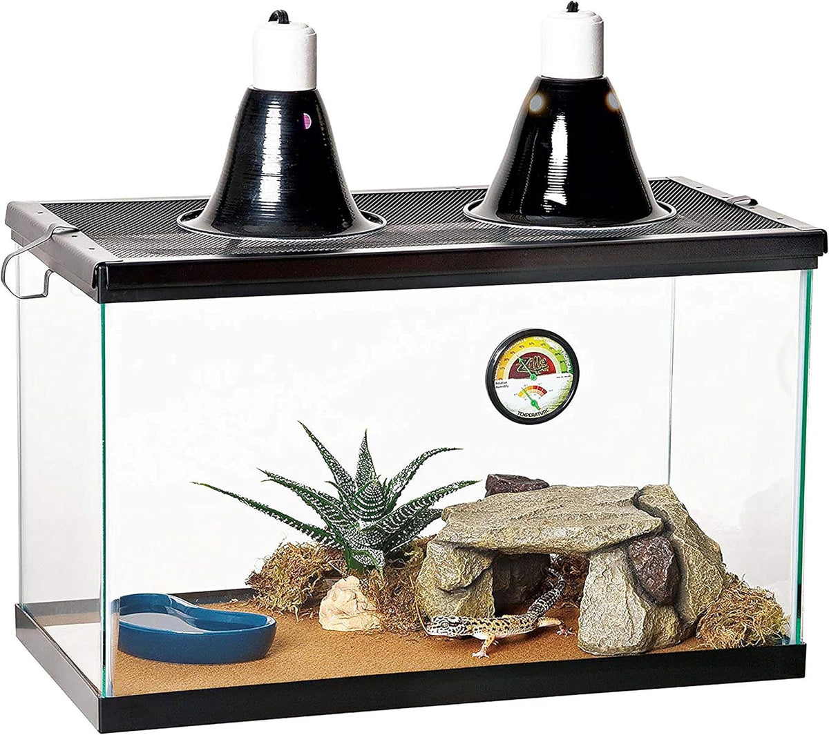 Zilla 10 Gallon Pet Reptile Starter Habitat Kit with Light and Heat for Small Desert Dwelling