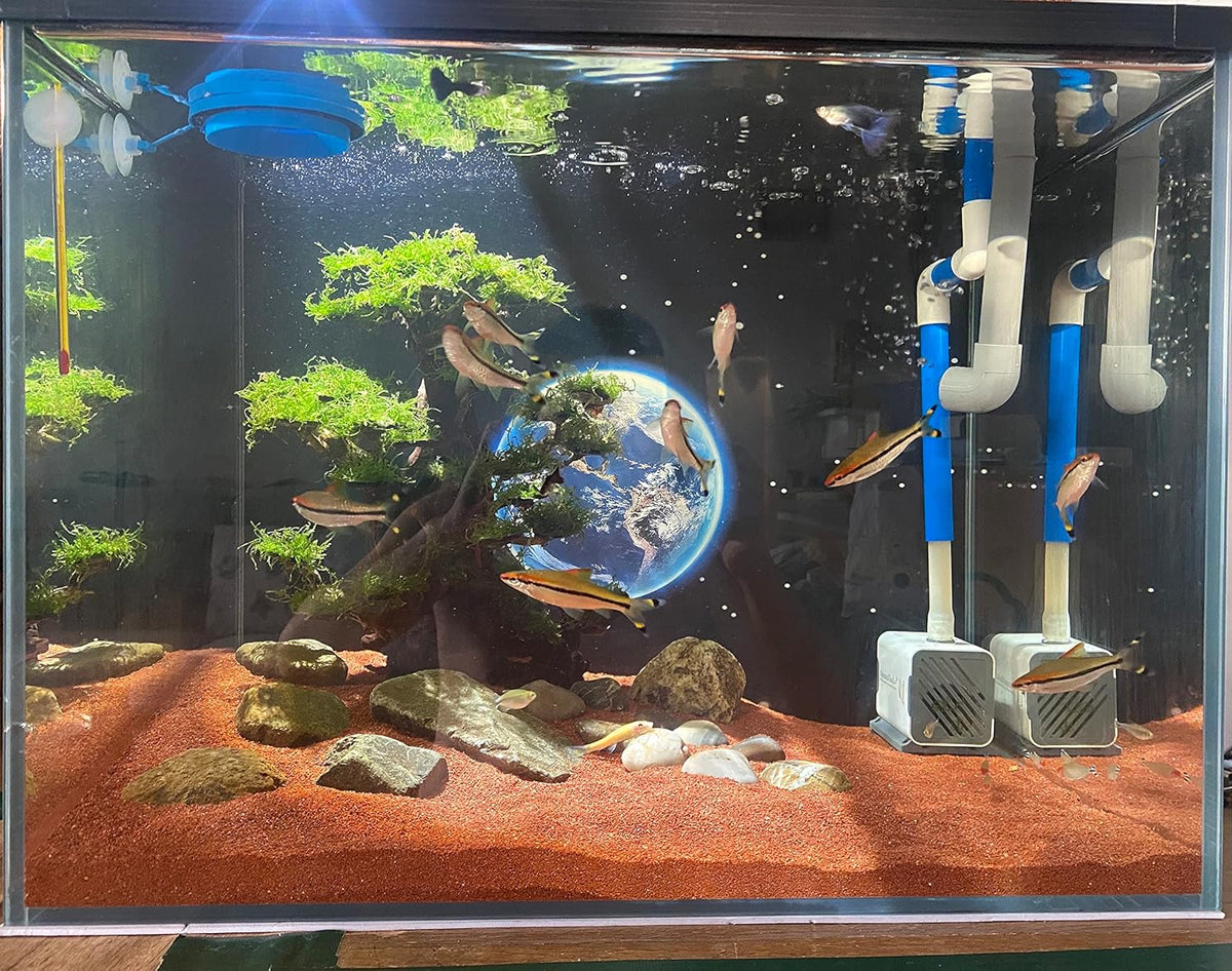 11lb Natural South American Rainforest Sand, Aquarium red Sand, Lava Rock Soil, Red Lava Rock Sand