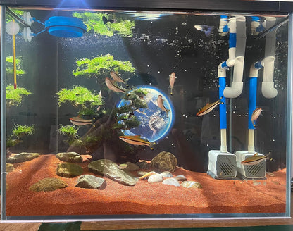 11lb Natural South American Rainforest Sand, Aquarium red Sand, Lava Rock Soil, Red Lava Rock Sand