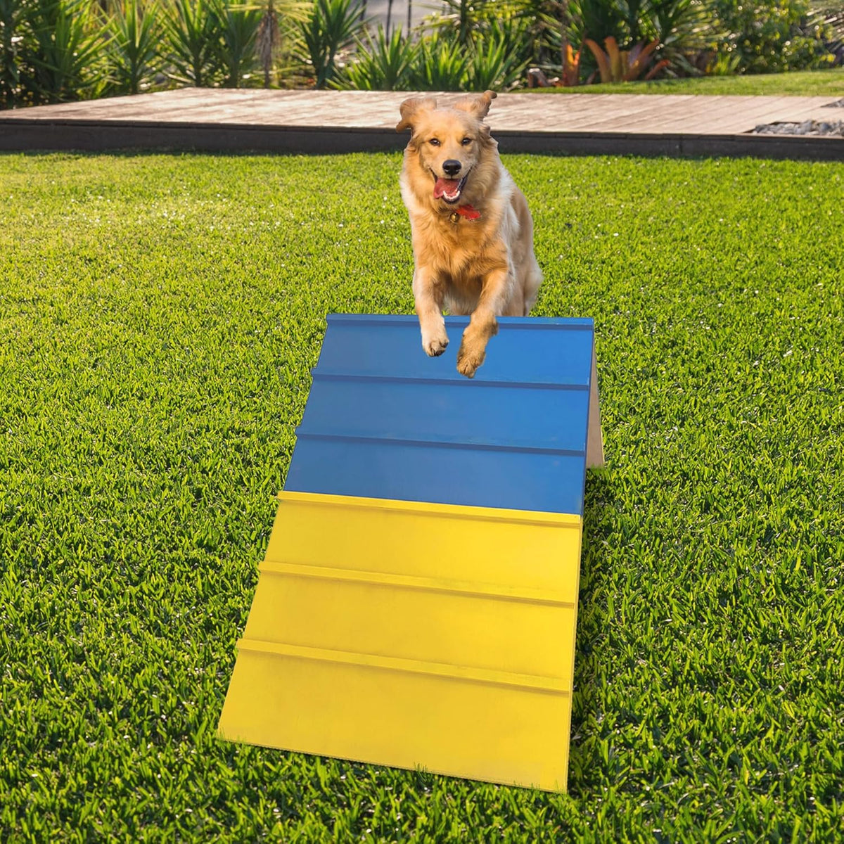 Dogs Agility Course Backyard Set, Dog Agility Equipment, Non-Slip Dog Agility A-Frame, 84” x 24”