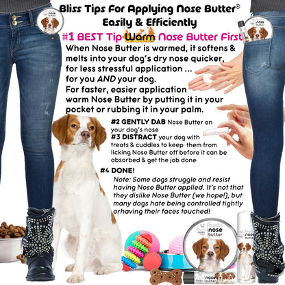 The Blissful Dog Brittany Spaniel Nose Butter for Dry, Cracked Skin, Lick-Safe Dog Nose Balm with