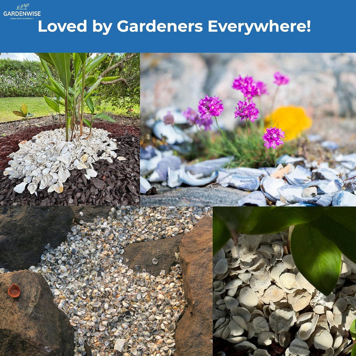 Natural Organic Sea Shell Mulch for Gardens and Landscaping – Decorative and Nutrient-Rich