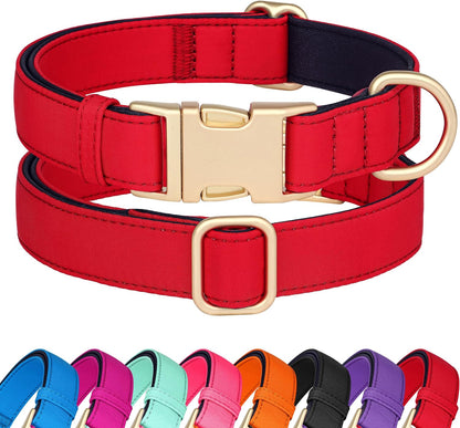 Didog Soft Padded Dog Collars for Small Dogs, Colorful and Durable Dog Collar with Quick Release