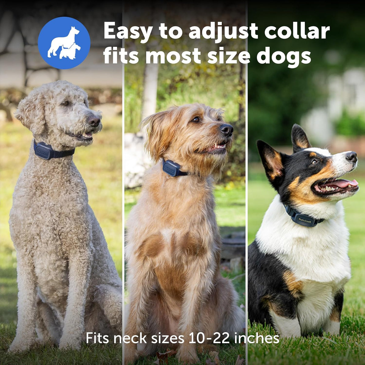 PetSafe Pro Dog Trainer with Remote – Waterproof Training Collar – 1000 ft Range – Tone, Vibration