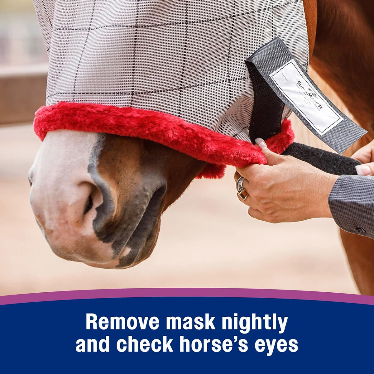 Farnam SuperMask II horse fly mask without ears, extended coverage, protects eyes from insects and