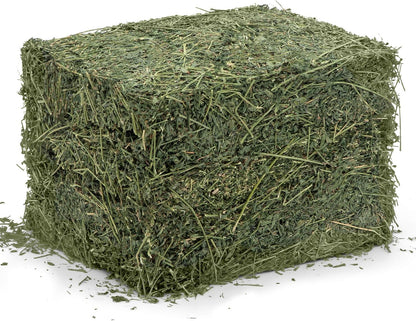 High Desert Alfalfa Hay for Rabbits, Guinea Pigs, Chinchillas & Small Pets – Protein-Rich Natural