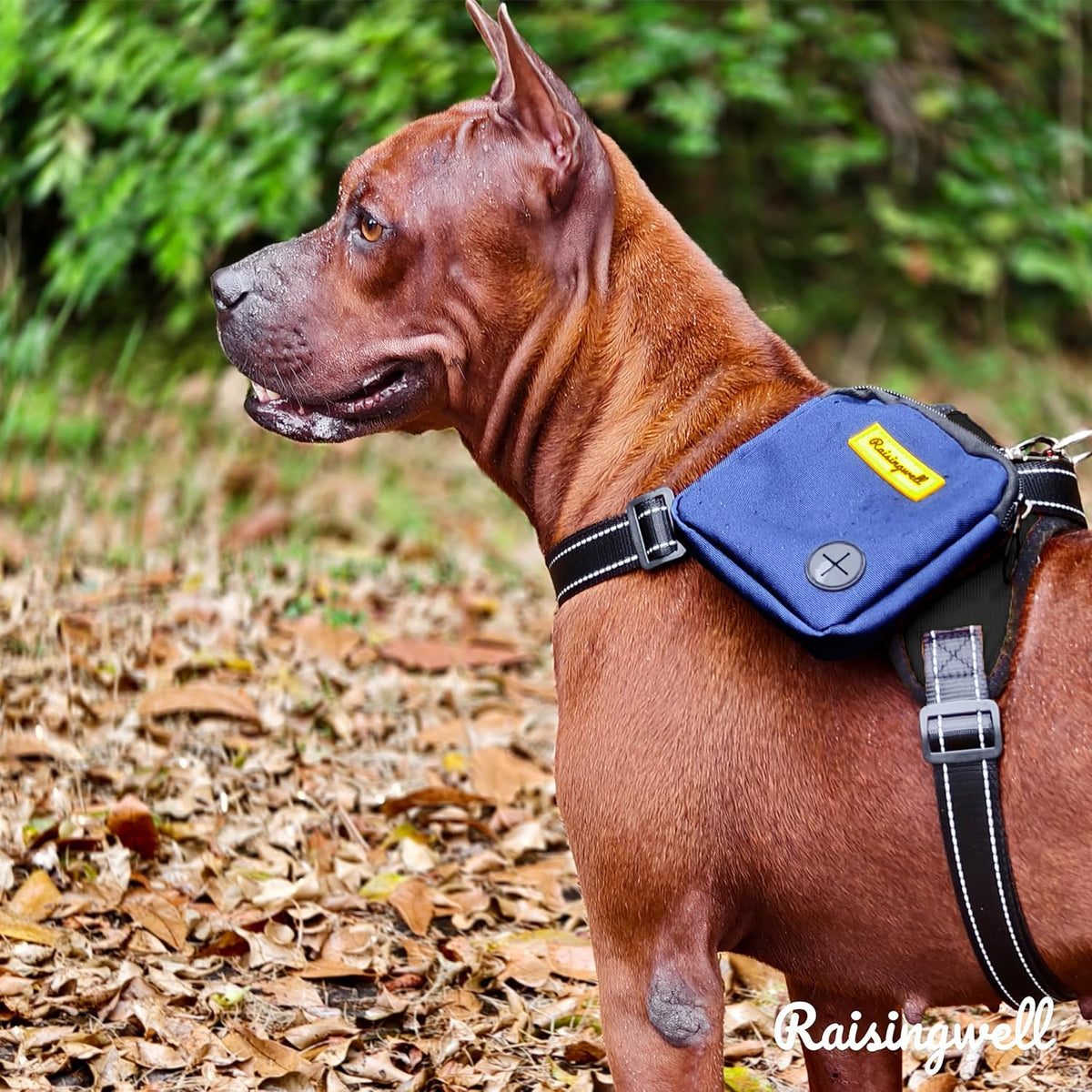 Dog Treat Pouch for Pet Walking and Training with Clicker Poop Bags Small Fanny Zipper Pack Holder