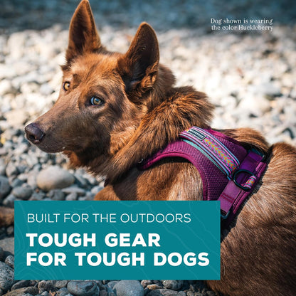 Wilderdog Lightweight Dog Harness with Reflective Straps - Medium - Huckleberry