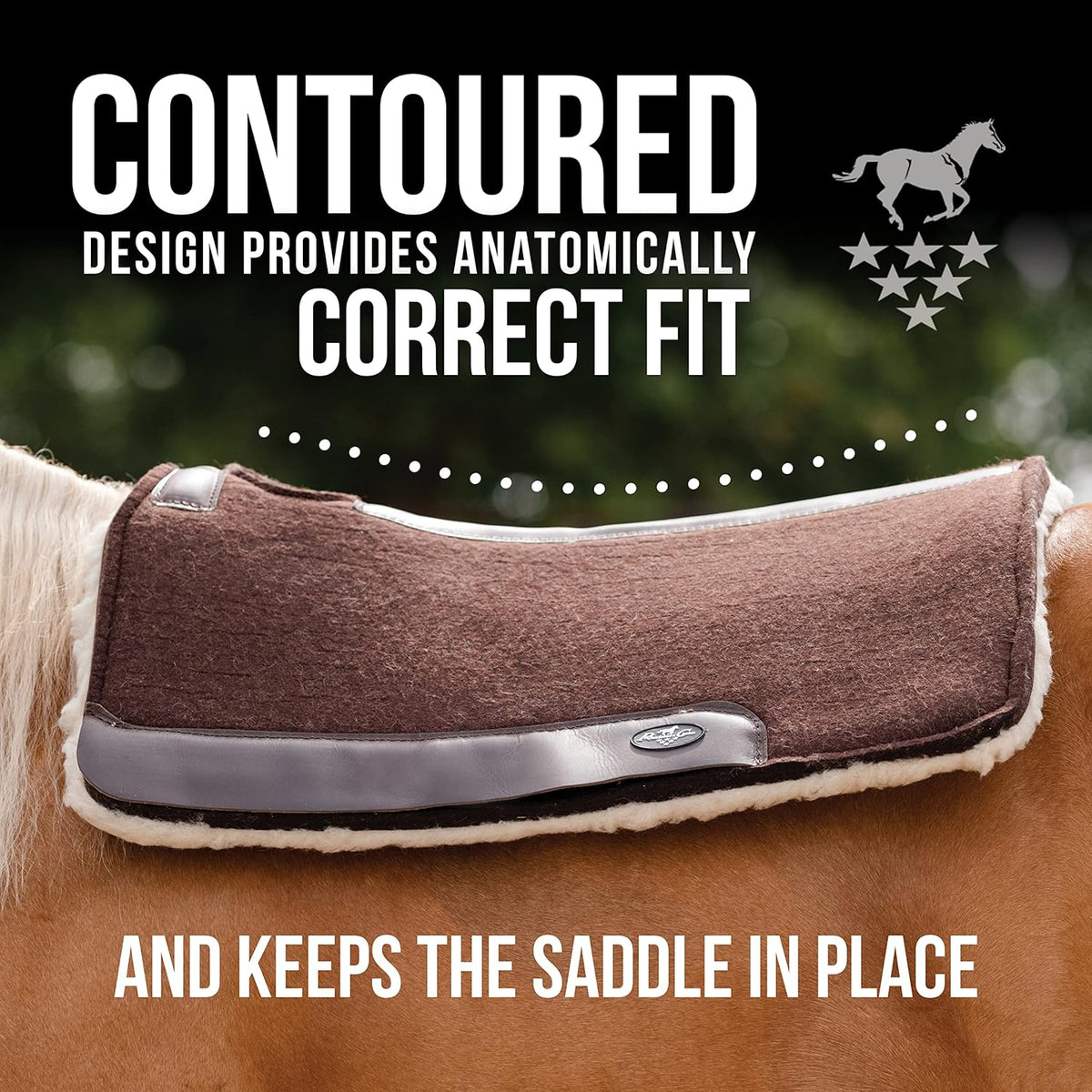 Professional's Choice 100% Steam-Pressed Wool Felt Saddle pad