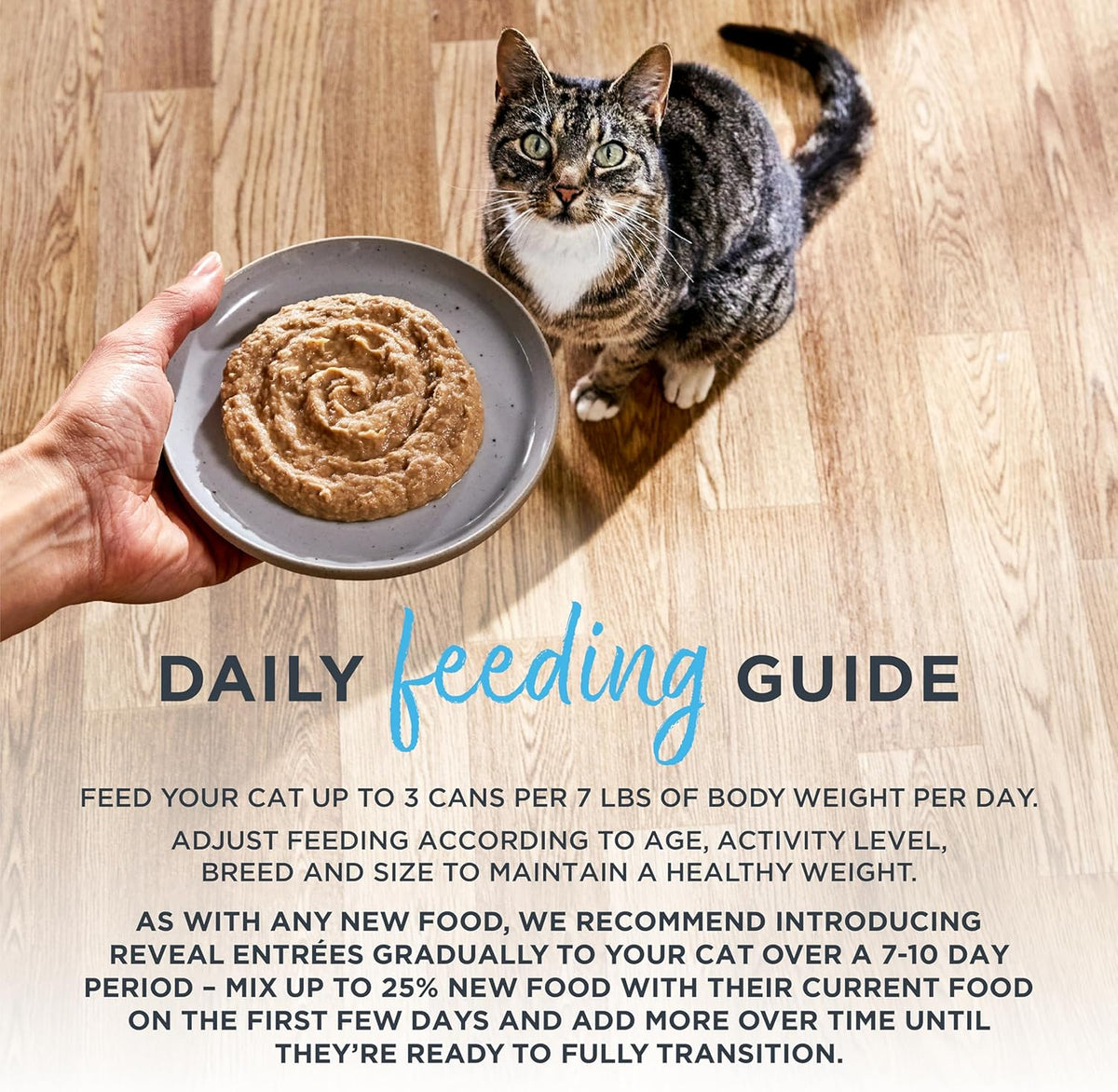 Reveal Entrées Natural Wet Cat Food Paté, Grain-Free with Added Vitamins & Minerals