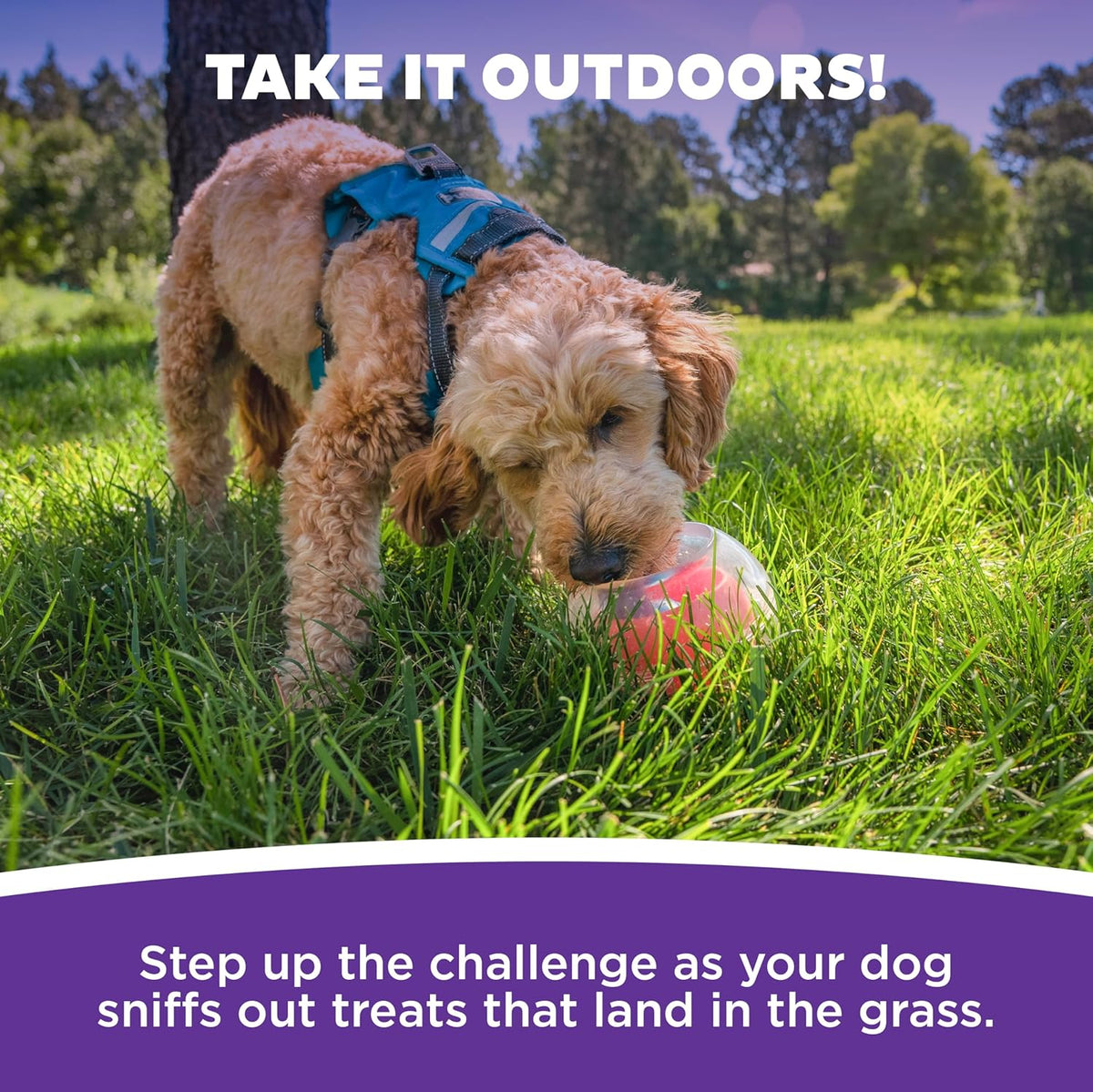 Outward Hound Nina Ottosson Topsy Treat Ball Dog Puzzle Interactive Treat Puzzle Dog Enrichment Dog