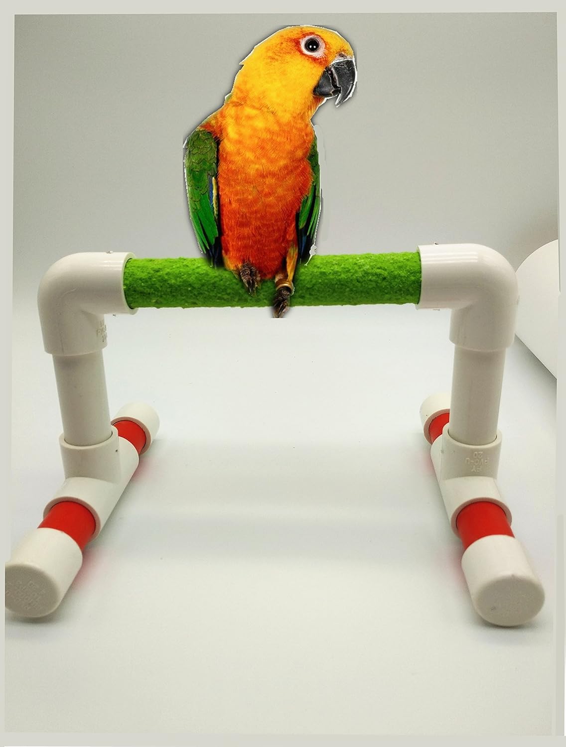 Hypeety Small Bird Parrot Stand Perch Table Top Stand Playground Grind Perch Swing Training