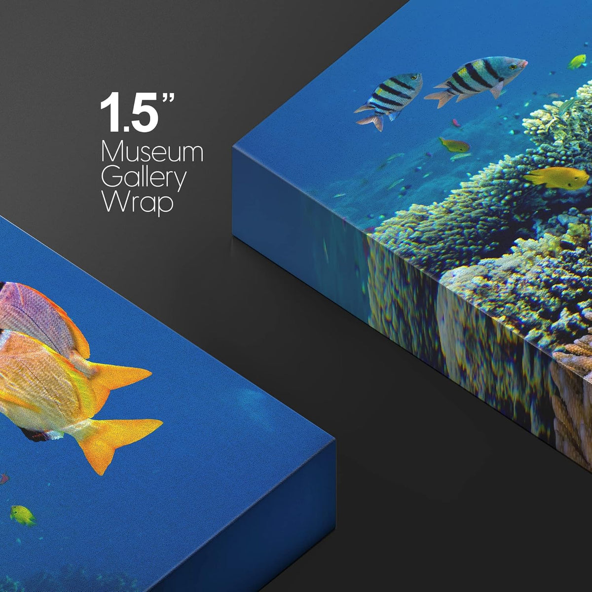 wall26 Canvas Print Wall Art Vibrant Coral Reef Underwater Panorama Nature Animals Photography