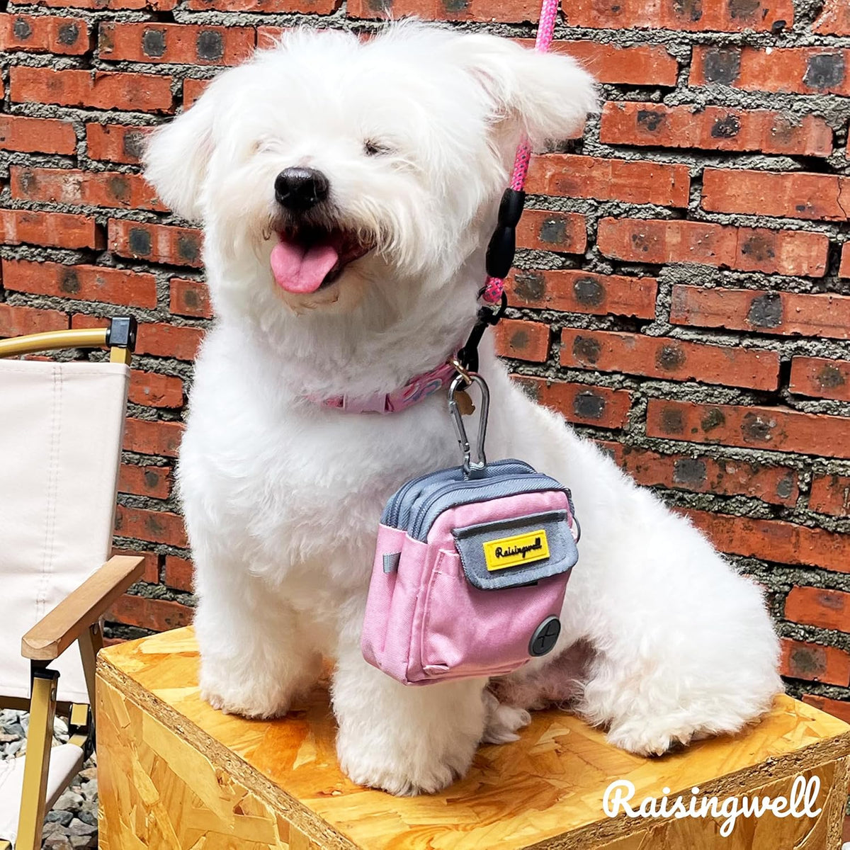 Dog Treat Pouch for Pet Walking and Training with Clicker Poop Bags and Three Bags Design Small